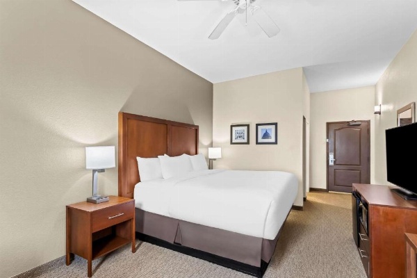 Comfort Inn & Suites Grenada image 18